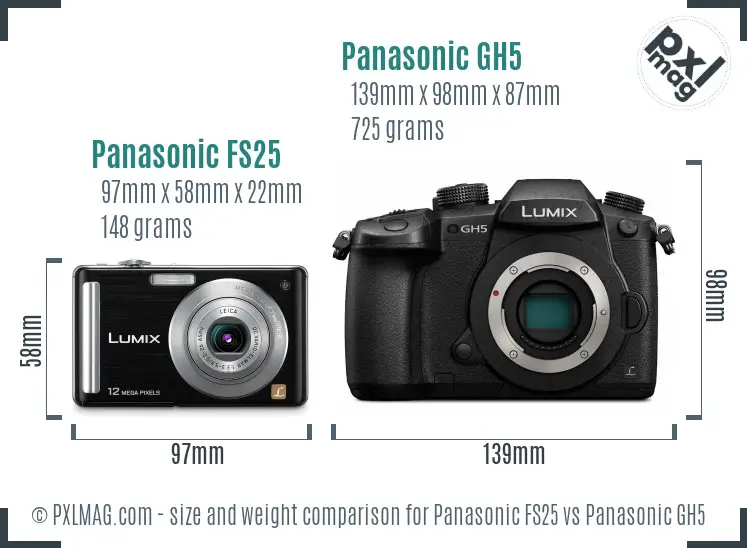 Panasonic FS25 vs Panasonic GH5 size comparison