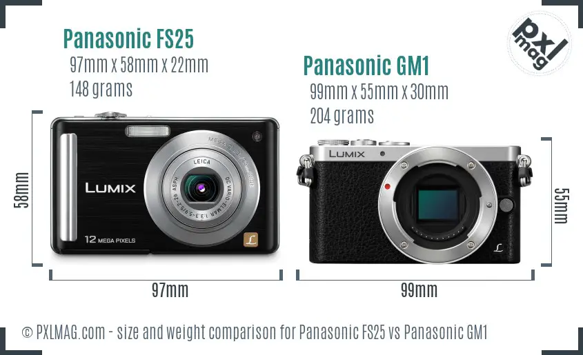 Panasonic FS25 vs Panasonic GM1 size comparison