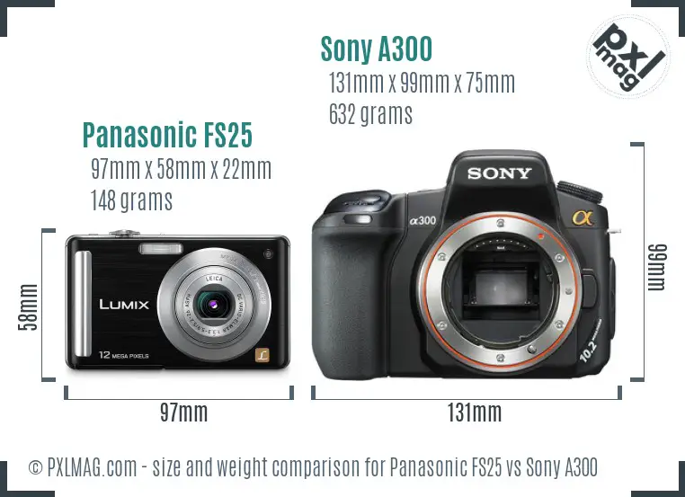 Panasonic FS25 vs Sony A300 size comparison
