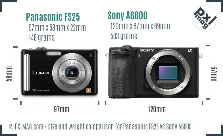 Panasonic FS25 vs Sony A6600 size comparison