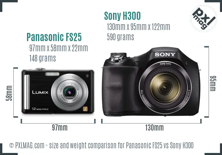 Panasonic FS25 vs Sony H300 size comparison