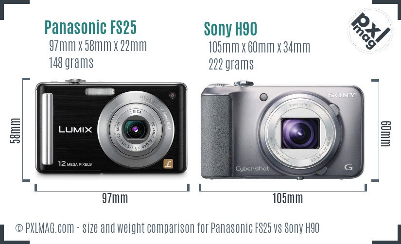 Panasonic FS25 vs Sony H90 size comparison