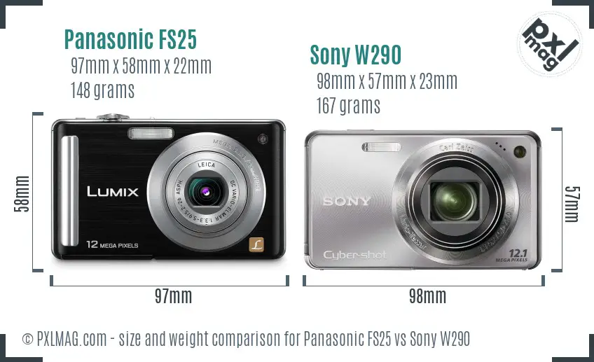 Panasonic FS25 vs Sony W290 size comparison