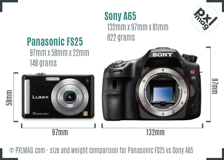 Panasonic FS25 vs Sony A65 size comparison
