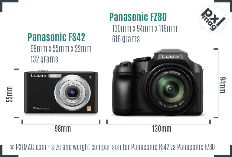 Panasonic FS42 vs Panasonic FZ80 size comparison