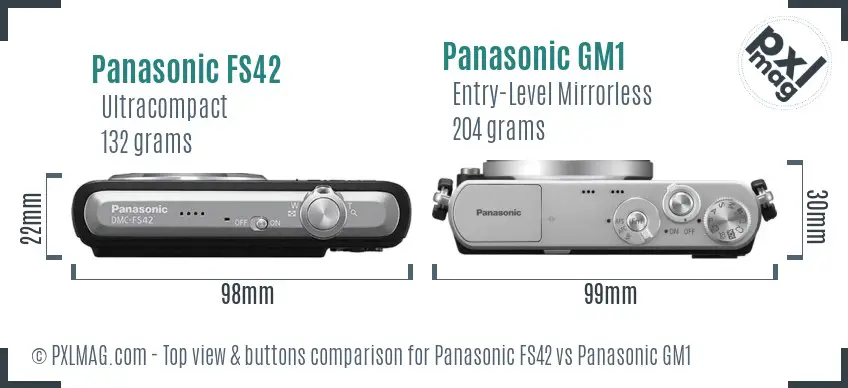 Panasonic FS42 vs Panasonic GM1 top view buttons comparison