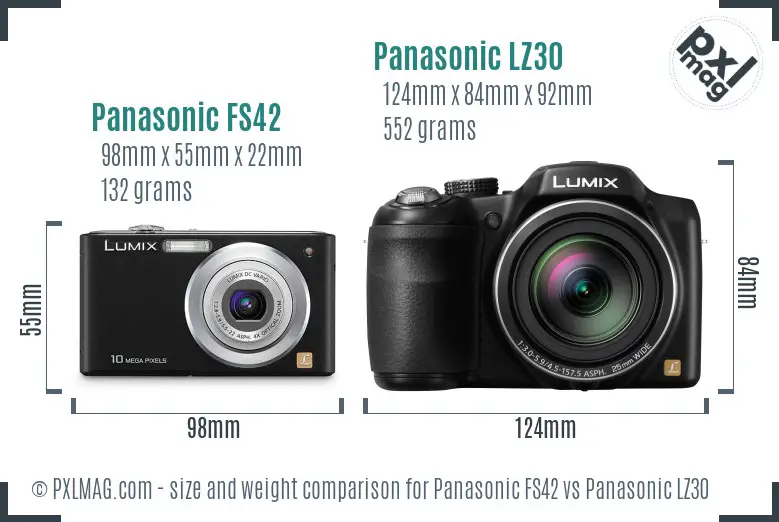 Panasonic FS42 vs Panasonic LZ30 size comparison