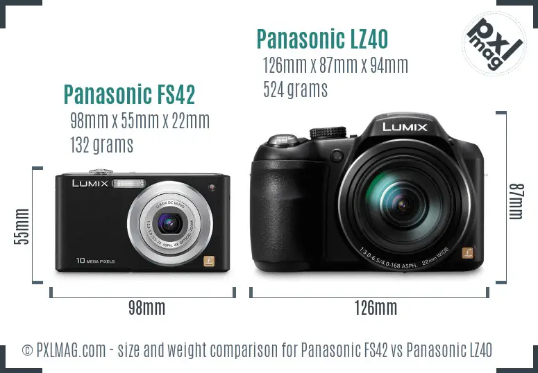 Panasonic FS42 vs Panasonic LZ40 size comparison