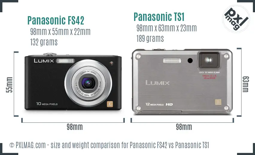 Panasonic FS42 vs Panasonic TS1 size comparison