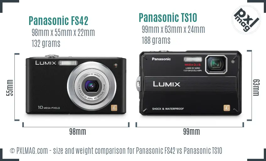 Panasonic FS42 vs Panasonic TS10 size comparison