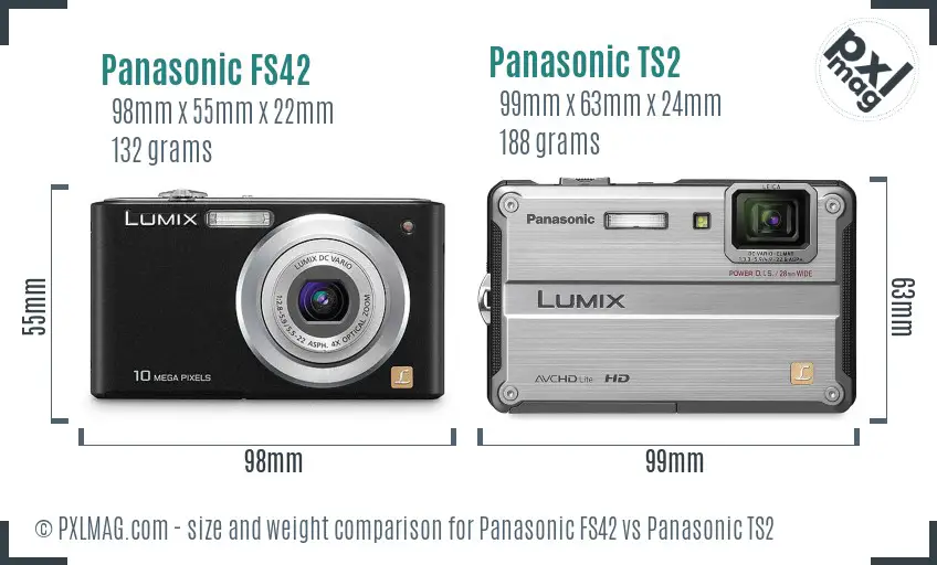 Panasonic FS42 vs Panasonic TS2 size comparison