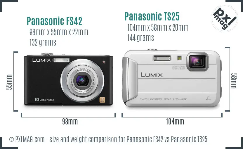 Panasonic FS42 vs Panasonic TS25 size comparison