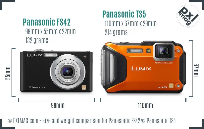 Panasonic FS42 vs Panasonic TS5 size comparison