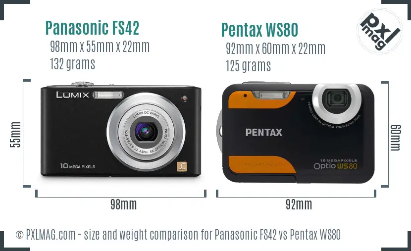 Panasonic FS42 vs Pentax WS80 size comparison