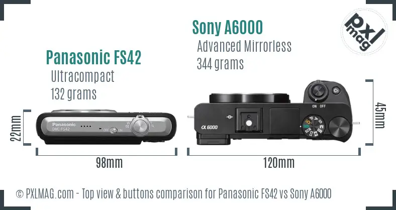 Panasonic FS42 vs Sony A6000 top view buttons comparison