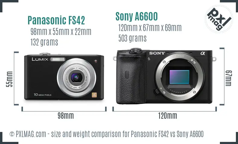 Panasonic FS42 vs Sony A6600 size comparison