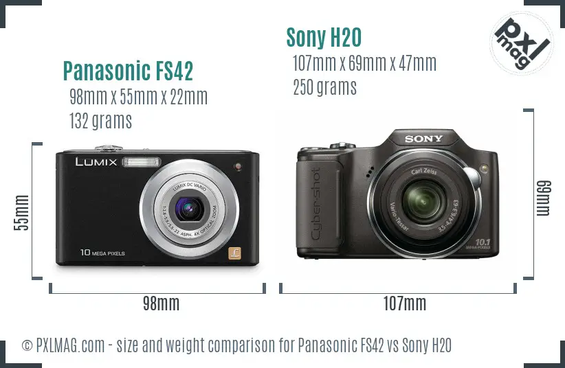 Panasonic FS42 vs Sony H20 size comparison