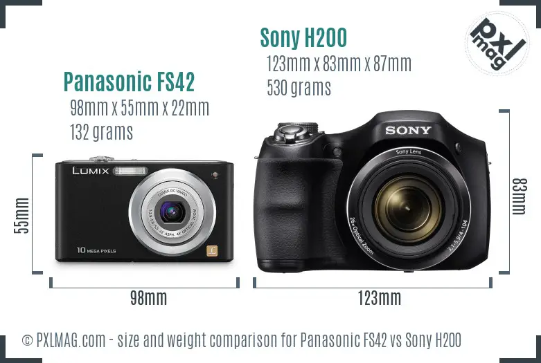Panasonic FS42 vs Sony H200 size comparison