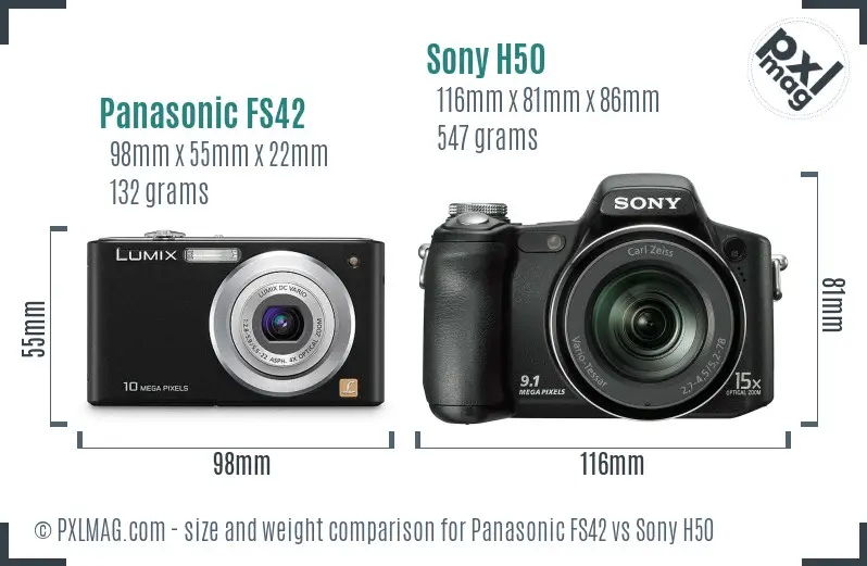 Panasonic FS42 vs Sony H50 size comparison