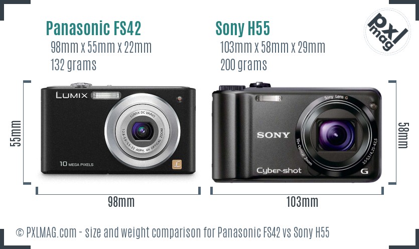 Panasonic FS42 vs Sony H55 size comparison