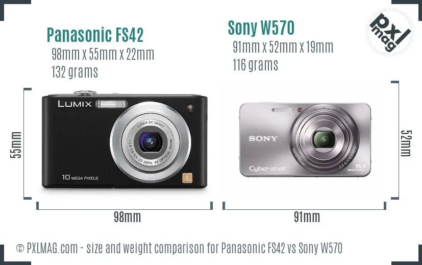 Panasonic FS42 vs Sony W570 size comparison
