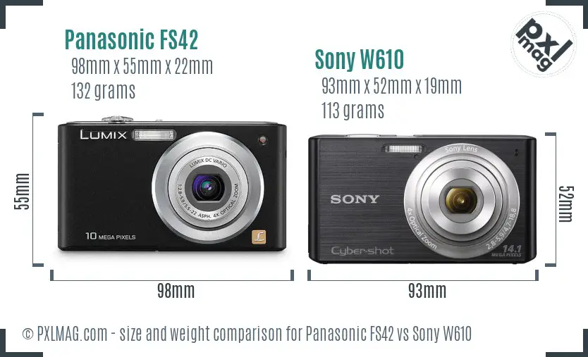 Panasonic FS42 vs Sony W610 size comparison