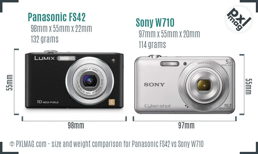 Panasonic FS42 vs Sony W710 size comparison