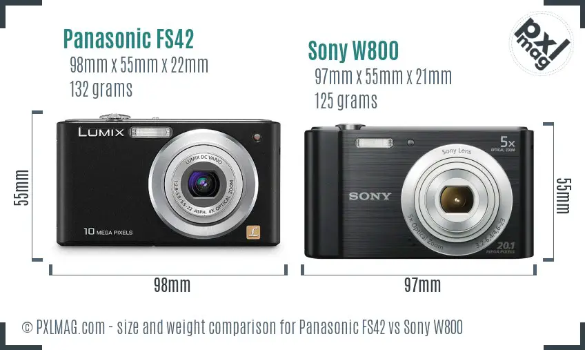 Panasonic FS42 vs Sony W800 size comparison