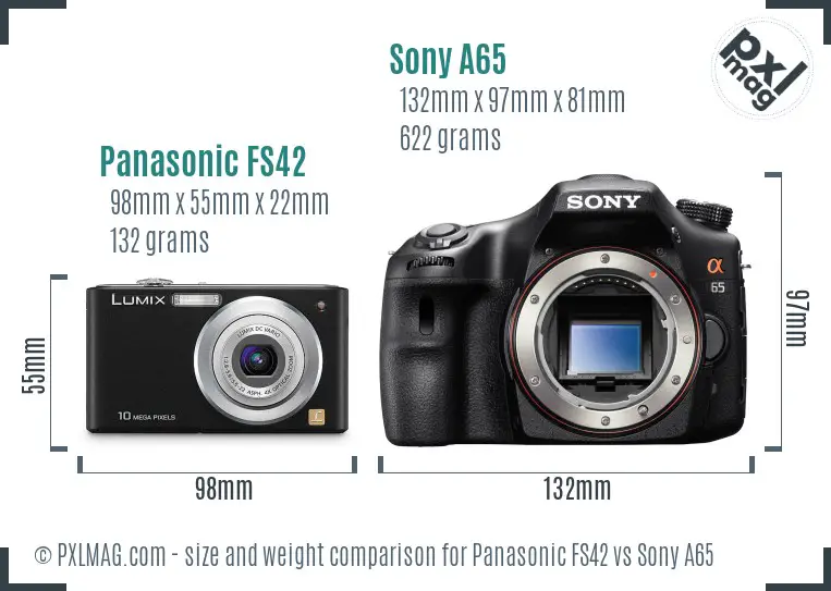 Panasonic FS42 vs Sony A65 size comparison