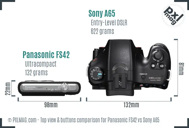 Panasonic FS42 vs Sony A65 top view buttons comparison