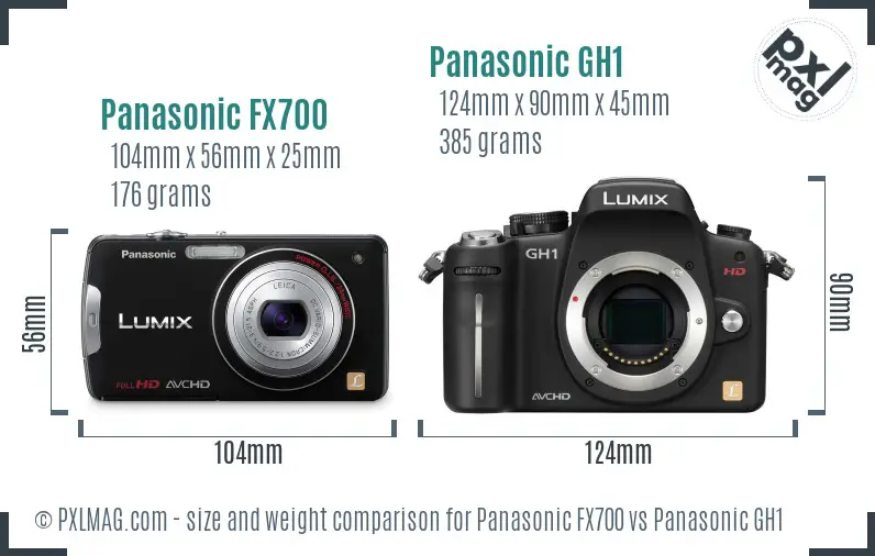 Panasonic FX700 vs Panasonic GH1 size comparison