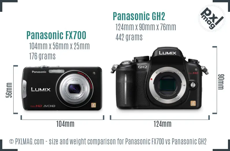 Panasonic FX700 vs Panasonic GH2 size comparison