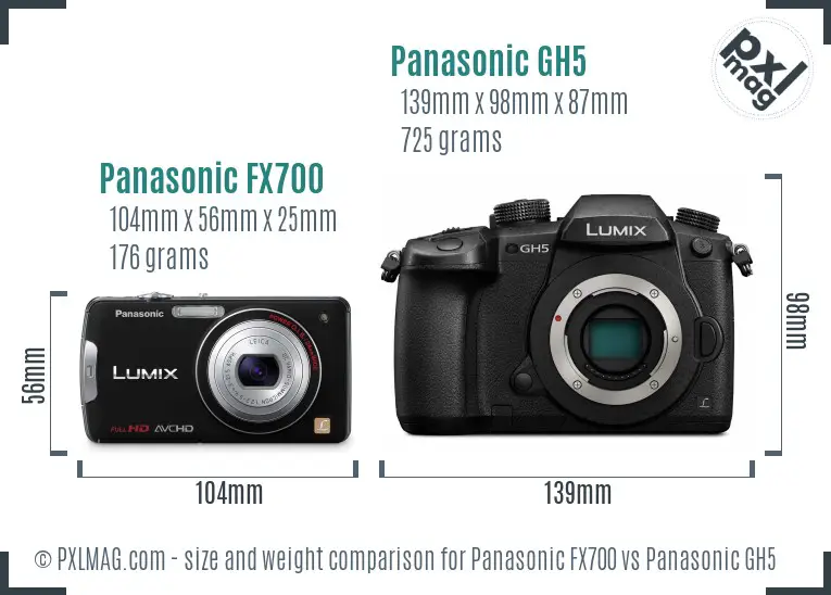Panasonic FX700 vs Panasonic GH5 size comparison