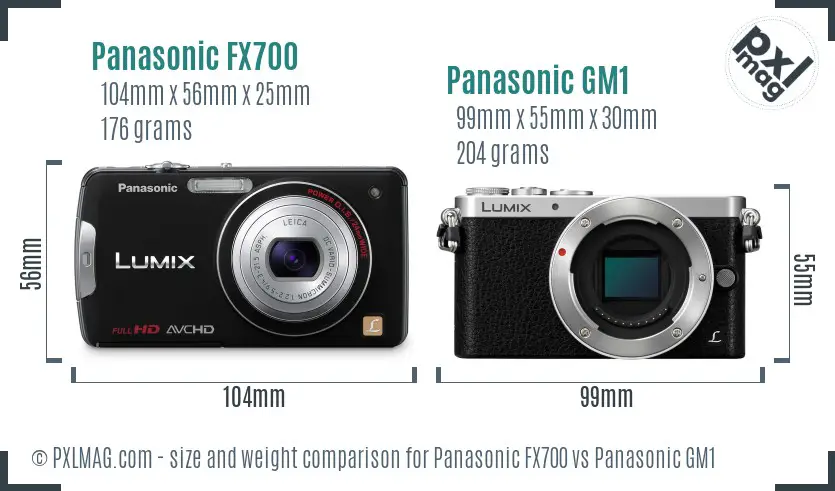 Panasonic FX700 vs Panasonic GM1 size comparison