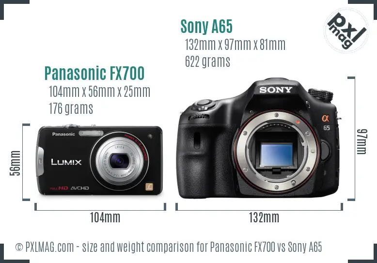 Panasonic FX700 vs Sony A65 size comparison