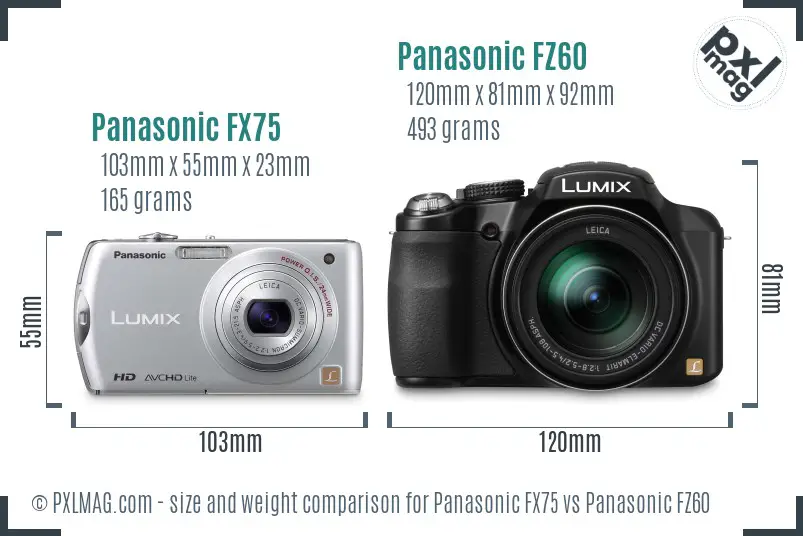 Panasonic FX75 vs Panasonic FZ60 size comparison