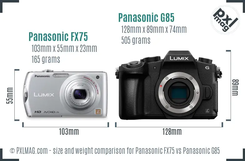 Panasonic FX75 vs Panasonic G85 size comparison