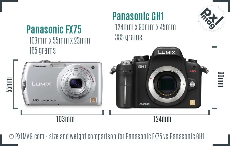 Panasonic FX75 vs Panasonic GH1 size comparison