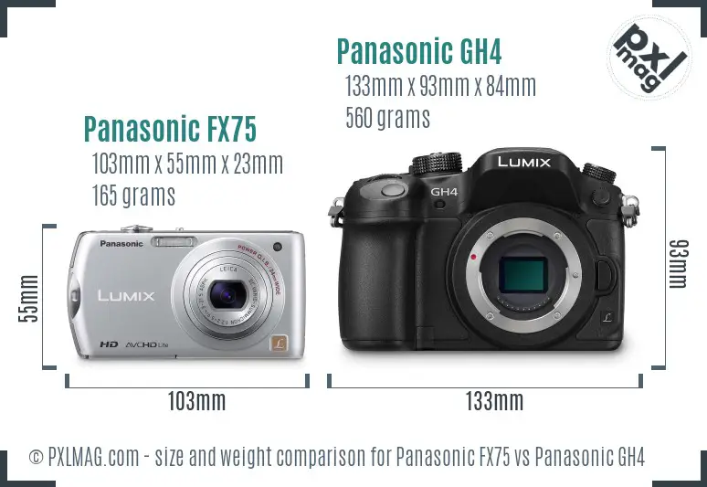 Panasonic FX75 vs Panasonic GH4 size comparison
