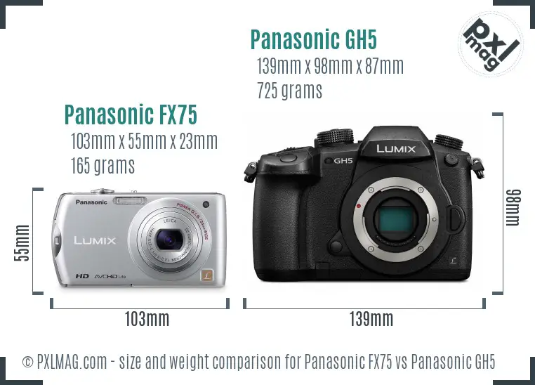 Panasonic FX75 vs Panasonic GH5 size comparison