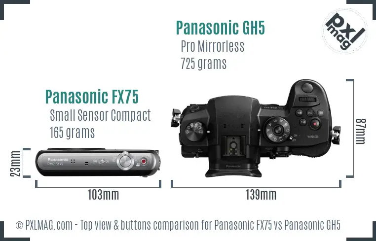 Panasonic FX75 vs Panasonic GH5 top view buttons comparison