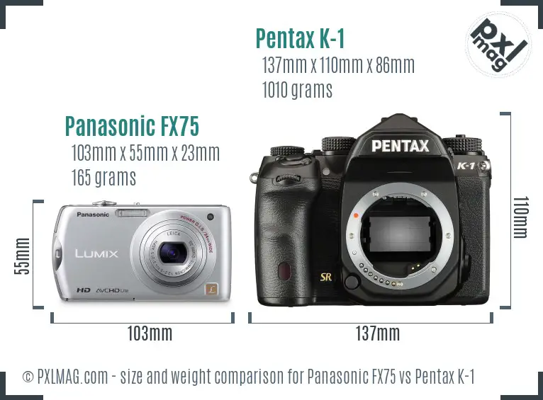 Panasonic FX75 vs Pentax K-1 size comparison