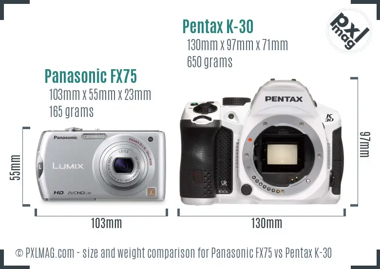 Panasonic FX75 vs Pentax K-30 size comparison