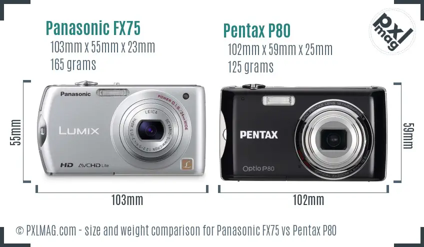 Panasonic FX75 vs Pentax P80 size comparison