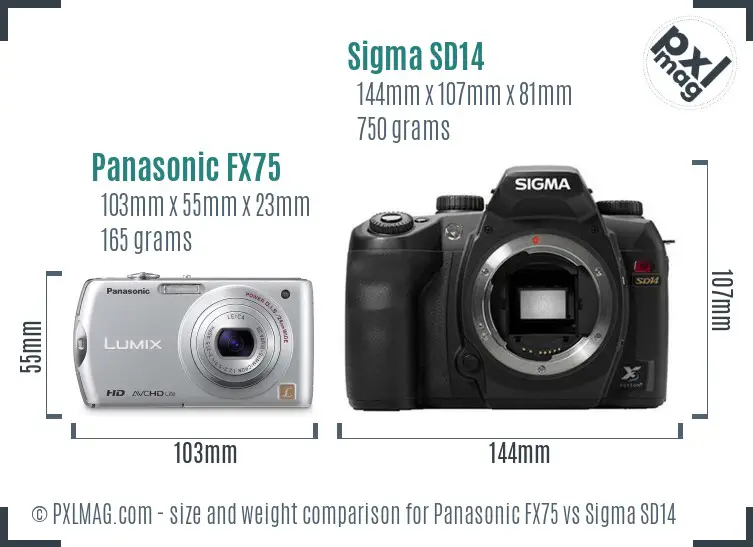 Panasonic FX75 vs Sigma SD14 size comparison