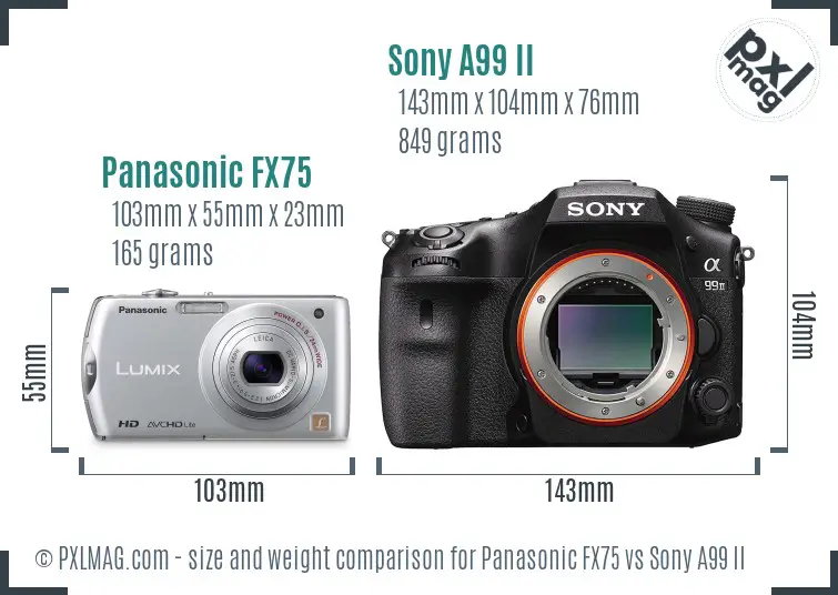 Panasonic FX75 vs Sony A99 II size comparison Panasonic FX75 vs Sony A99 II size comparison