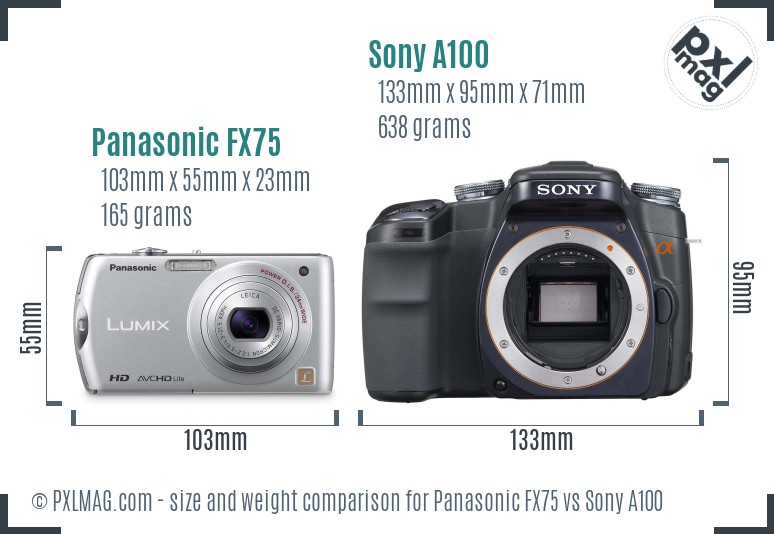 Panasonic FX75 vs Sony A100 size comparison