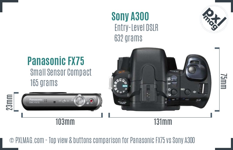 Panasonic FX75 vs Sony A300 top view buttons comparison