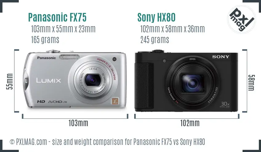 Panasonic FX75 vs Sony HX80 size comparison