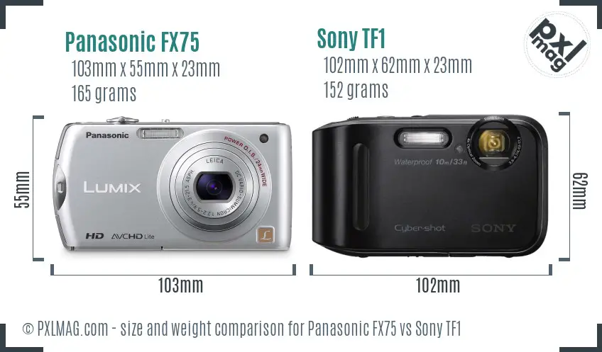 Panasonic FX75 vs Sony TF1 size comparison